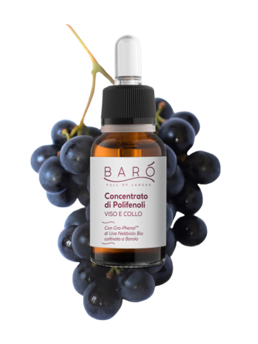 Concentrato di polifenoli